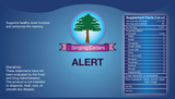Alert