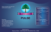 Pulse